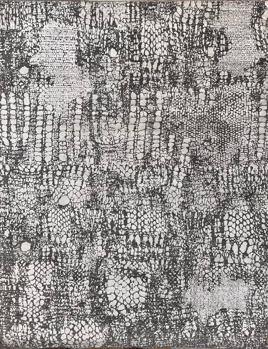8x10 Handknotted Kashmir rug